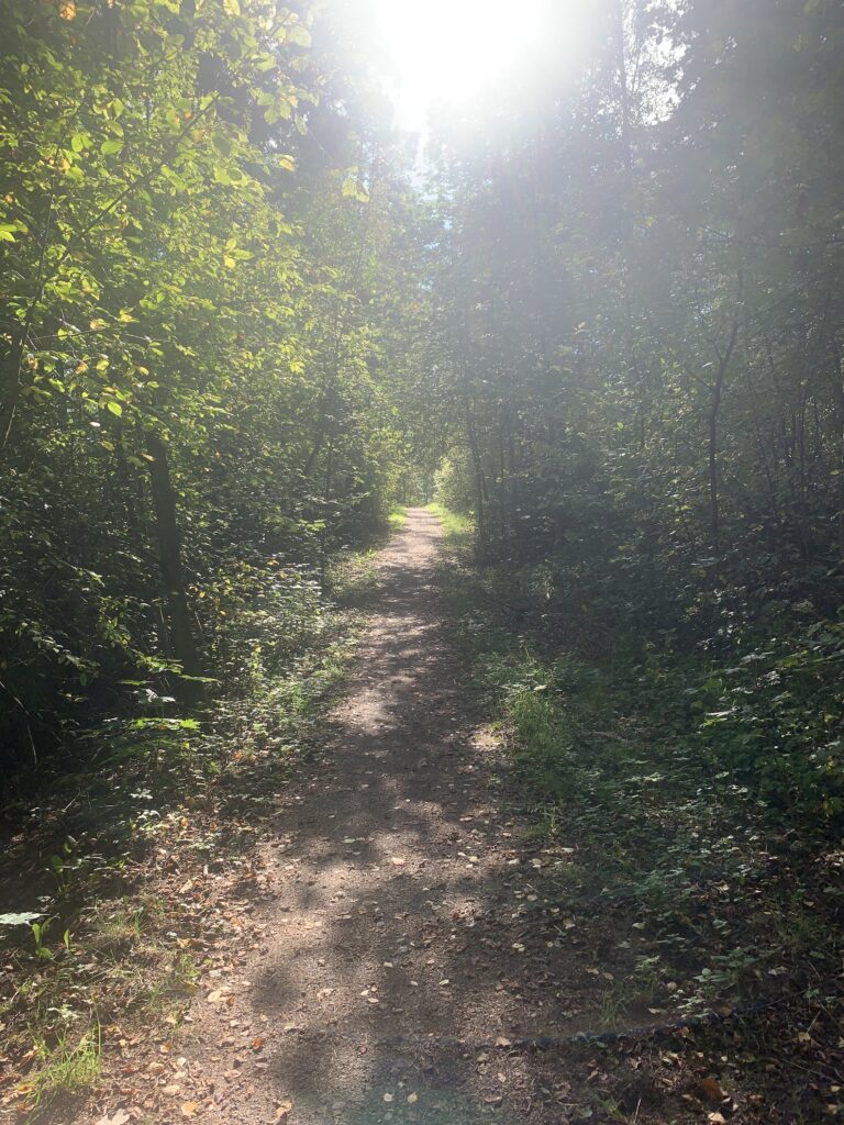 Which Direction Is My Ear Turned Toward?